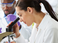 The 5 Steps of Political Savvy